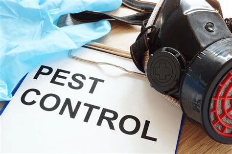 best pest control companies